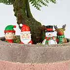 Bringen Sie einen Hauch von Weihnachten in Ihre Pflanzen