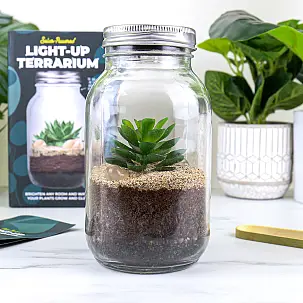 Bausatz für ein Terrarium mit Licht